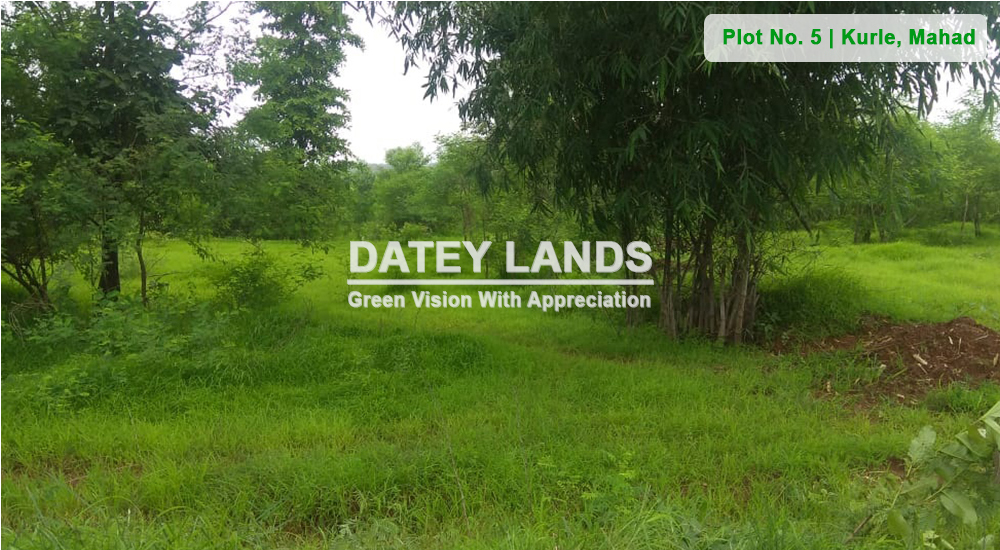 Plot No 5 Kurle | Mahad | Raigad
