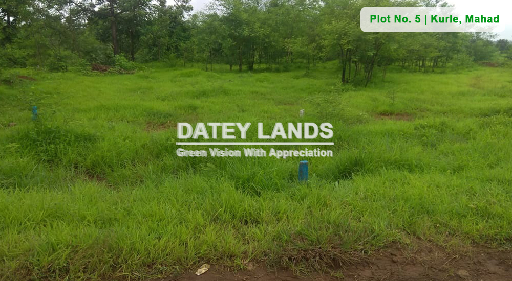 Plot No 5 Kurle | Mahad | Raigad