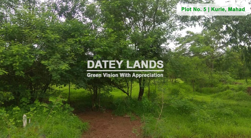 Plot No 5 Kurle | Mahad | Raigad