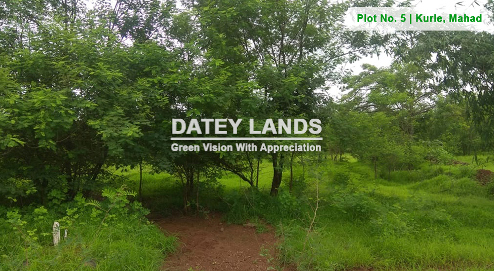 Plot No 5 Kurle | Mahad | Raigad