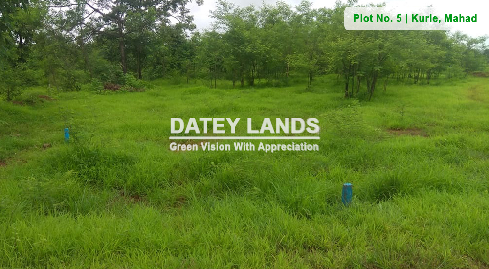 lands at Mahad