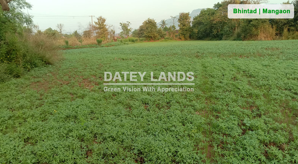 Bhintad Agri Land 1 | Goregaon | Mangaon | Raigad