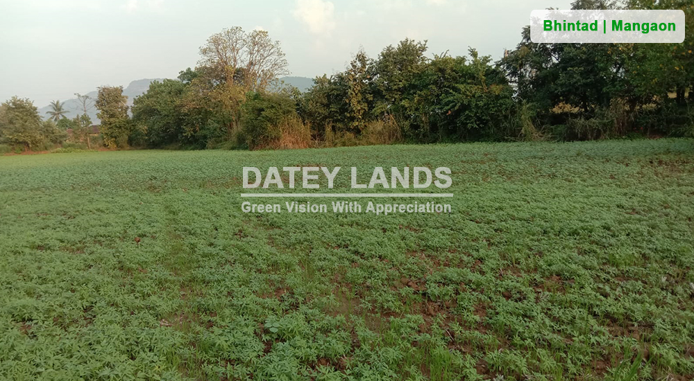 Bhintad Agri Land 1 | Goregaon | Mangaon | Raigad