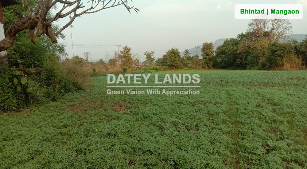 Bhintad Agri Land 1 | Goregaon | Mangaon | Raigad