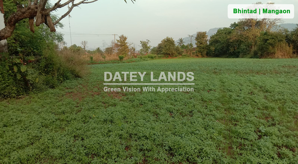 Bhintad Agri Land 1 | Goregaon | Mangaon | Raigad