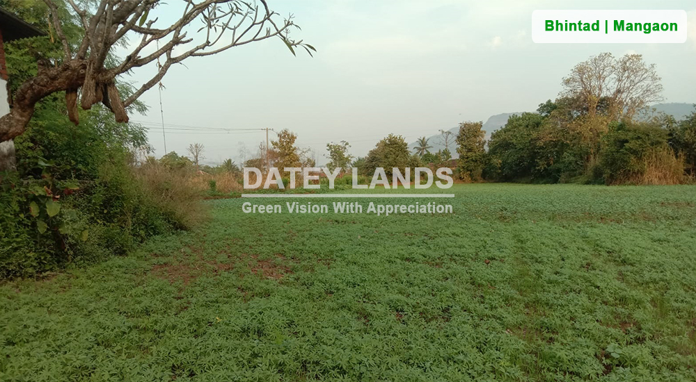 Bhintad Agri Land 1 | Goregaon | Mangaon | Raigad