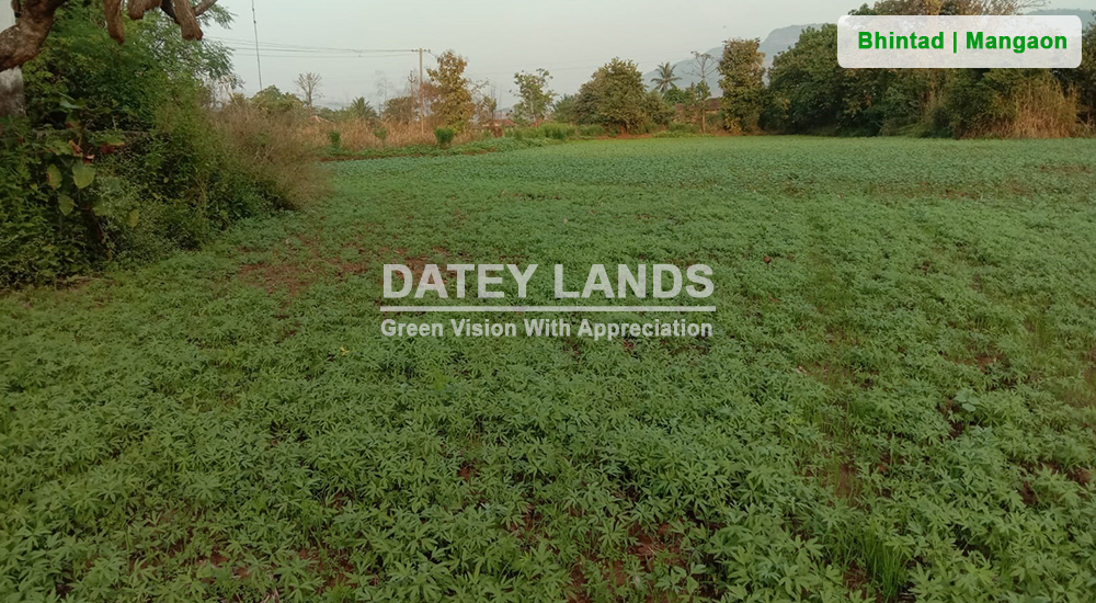 Bhintad Agri Land 1 | Goregaon | Mangaon | Raigad