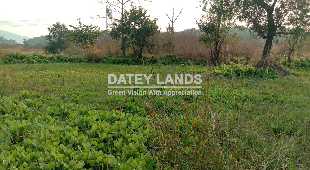 Bhintad Agri Land 1 | Goregaon | Mangaon | Raigad