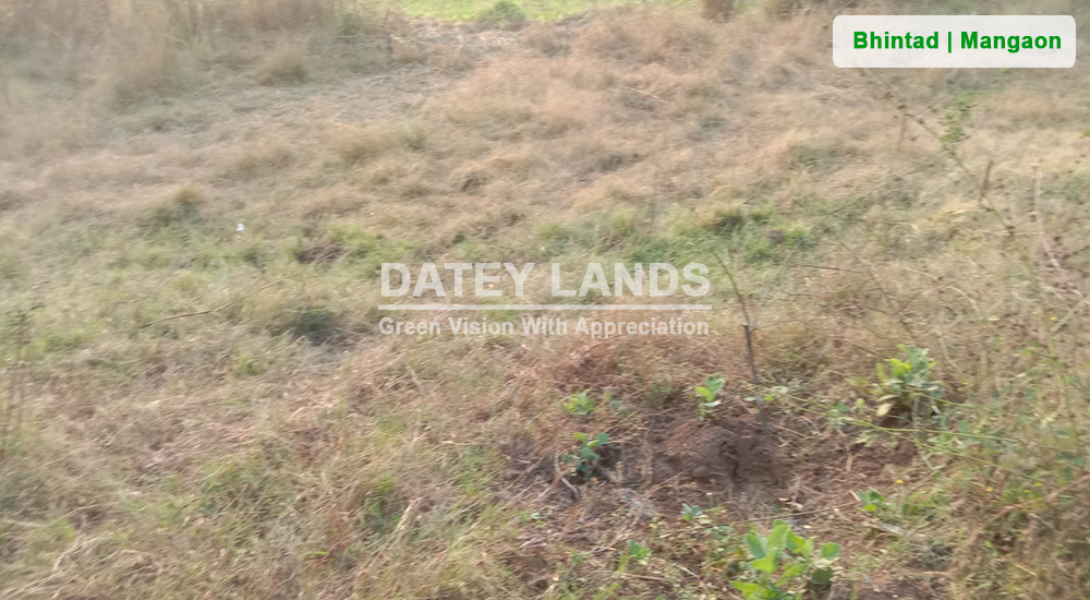Bhintad Agri Land 2 | Goregaon | Mangaon | Raigad