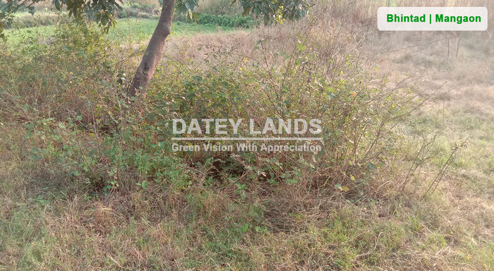 Bhintad Agri Land 2 | Goregaon | Mangaon | Raigad