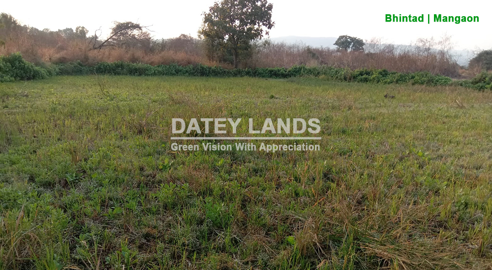 Bhintad Agri Land 2 | Goregaon | Mangaon | Raigad