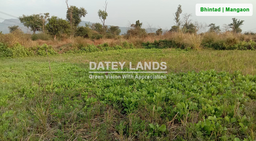 Bhintad Agri Land 2 | Goregaon | Mangaon | Raigad