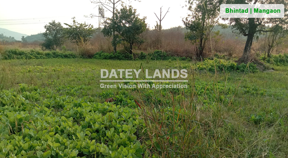 Bhintad Agri Land 2 | Goregaon | Mangaon | Raigad