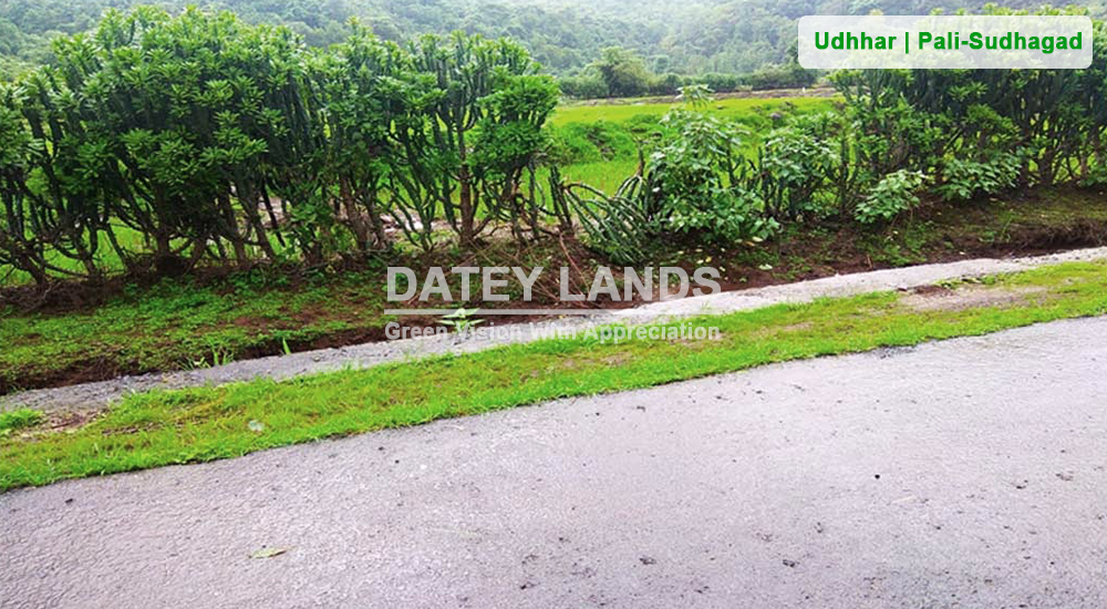 Udhhar, Pali, Sudhagad