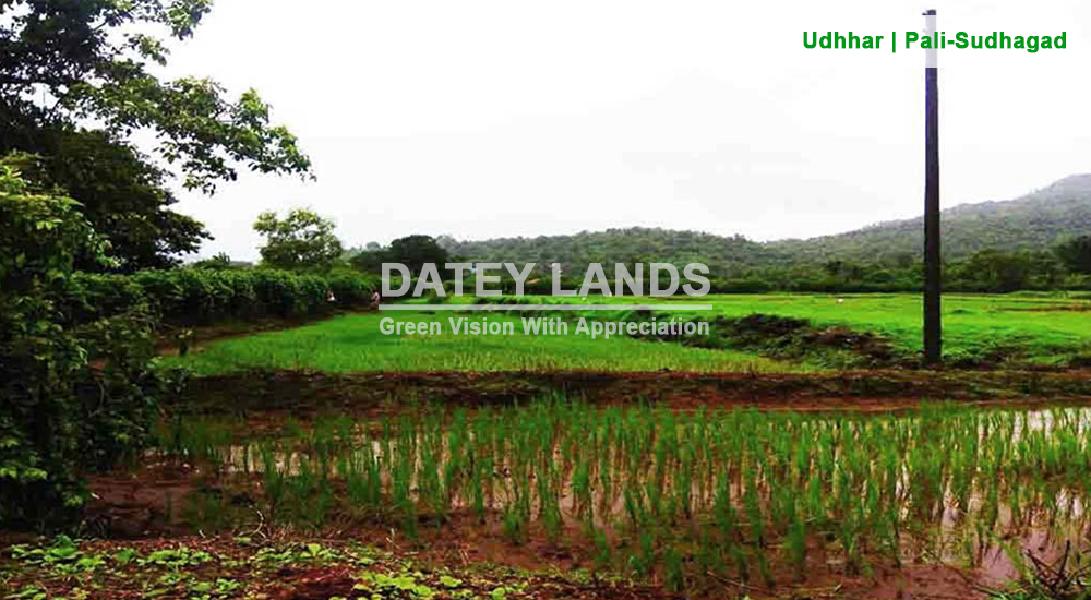 lands at Pali Sudhagad